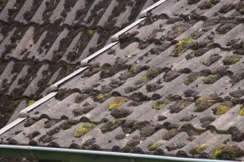 Preventief dak onderhoud begint vaak met bestrijding van algen en mossen
