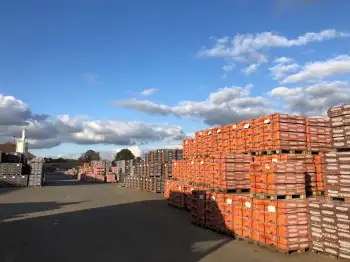 Dakpanvervanging op bezoek Nelskamp fabriek in Schermbeck rondleiding productie keramische dakpannen