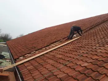 Volledige dakvernieuwing met hergebruik van oude pannen op boerderij in Beerte