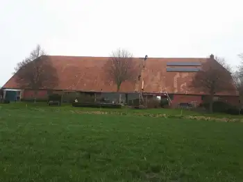 Volledige dakvernieuwing met hergebruik van oude pannen op boerderij in Beerte