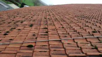 Volledige dakvernieuwing met hergebruik van oude pannen op boerderij in Beerte