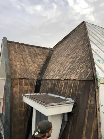 Dakvernieuwing wildervank Tuile du Nord Opalys keramische dakpan