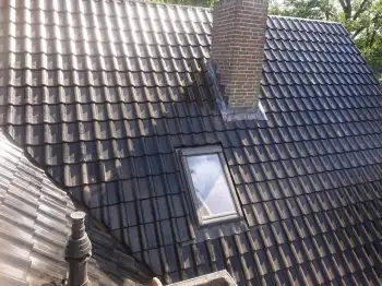 Borger Zonnepanelen geintergreerd in het dak