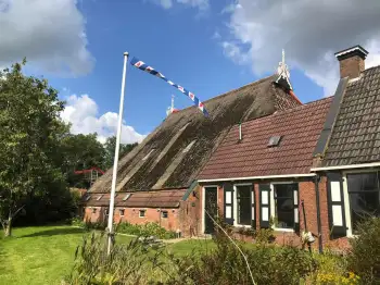 Dakpannen vervangen Friesland - In Stiens een rieten dak vervangen voor Nelskamp f8 (1/2) dakpannen