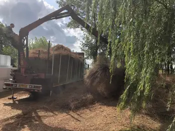 Dakpannen vervangen Friesland - In Stiens een rieten dak vervangen voor Nelskamp f8 (1/2) dakpannen