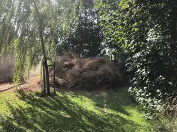 Dakpannen vervangen Friesland - In Stiens een rieten dak vervangen voor Nelskamp f8 (1/2) dakpannen