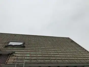 Zevenhuizen de dakpannen van de woning vervangen met Nelskamp H15