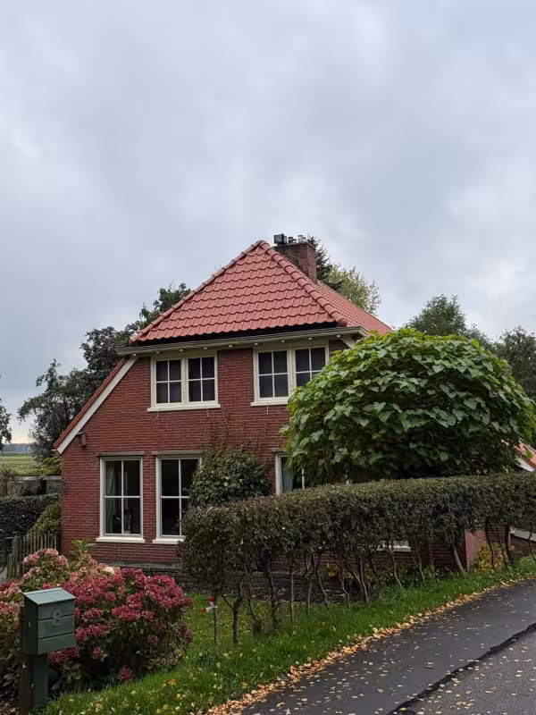 hoornsedijk haren dakranovatie